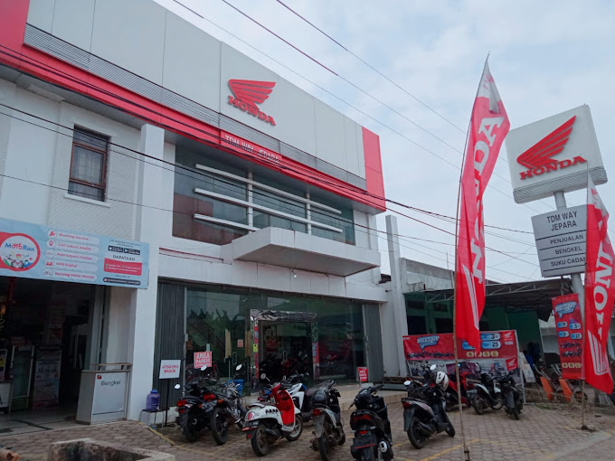 Dealer Motor Honda Lampung Timur - TDM Way Jepara